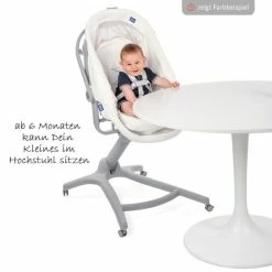 Outlet 🛒 Chicco Stubenwagen, Hochstuhl, Sessel Baby Hug 4 in 1 Air - Stone ✔️ -Live & Sleep Sales chicco stubenwagen hochstuhl sessel baby hug 4 in 1 air stone 00079193850000 d4