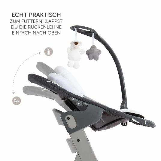 Outlet ⭐ Hauck Alpha Plus Grau Newborn Set Deluxe - 4-tlg. Hochstuhl + Neugeborenenaufsatz Grey (Rückenlehne verstellbar) + Sitzkissen 🔔 5 Outlet ⭐ Hauck Alpha Plus Grau Newborn Set Deluxe - 4-tlg. Hochstuhl + Neugeborenenaufsatz Grey (Rückenlehne verstellbar) + Sitzkissen 🔔 - Image 5