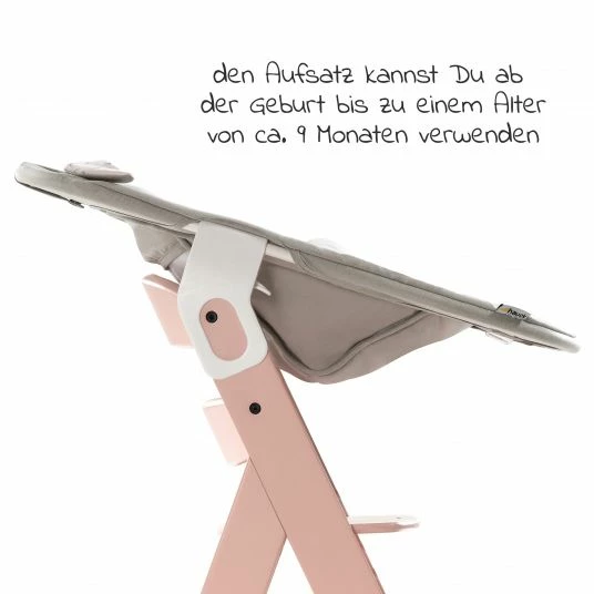 Hot Sale โจ Hauck Alpha Plus Rose Newborn Set Powder Bunny - 4-tlg. Hochstuhl + Neugeborenenaufsatz + Sitzkissen Grey ๐ 5 Hot Sale โจ Hauck Alpha Plus Rose Newborn Set Powder Bunny - 4-tlg. Hochstuhl + Neugeborenenaufsatz + Sitzkissen Grey ๐ - Image 5