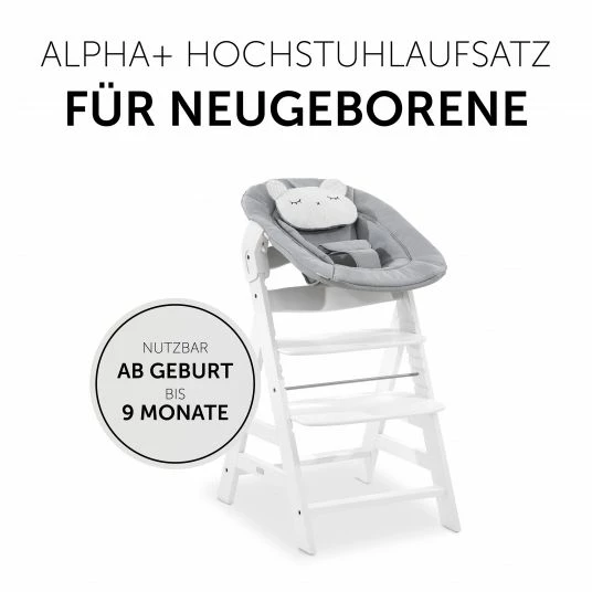 Hot Sale 🤩 Hauck Neugeborenenaufsatz & Wippe für Alpha / Beta Hochstuhl - Bouncer 2in1 - Pastell Bear 🛒 4 Hot Sale 🤩 Hauck Neugeborenenaufsatz & Wippe für Alpha / Beta Hochstuhl - Bouncer 2in1 - Pastell Bear 🛒 - Image 4