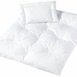 Outlet 😍 Julius Zöllner Quilt set feathers & down 100 x 135 cm + 40 x 60 cm 🔥