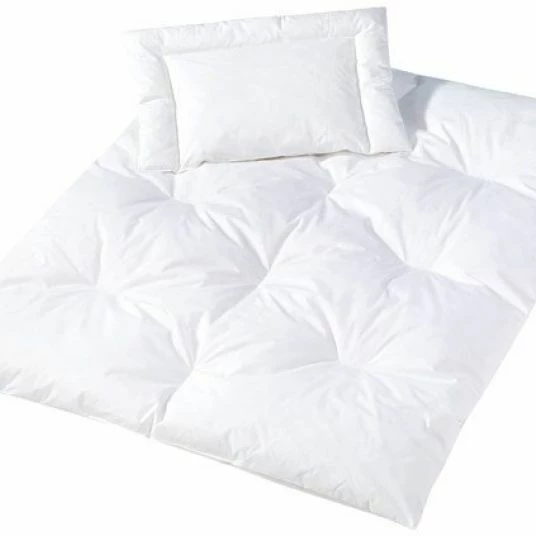 Outlet 😍 Julius Zöllner Quilt set feathers & down 100 x 135 cm + 40 x 60 cm 🔥 1 Outlet 😍 Julius Zöllner Quilt set feathers & down 100 x 135 cm + 40 x 60 cm 🔥