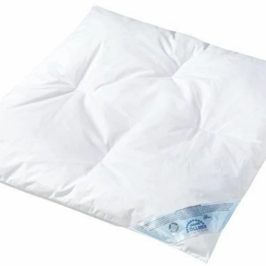 Top 10 🎉 Julius Zöllner Quilt with feathers & down 80 x 80 cm 😍 1 Top 10 🎉 Julius Zöllner Quilt with feathers & down 80 x 80 cm 😍