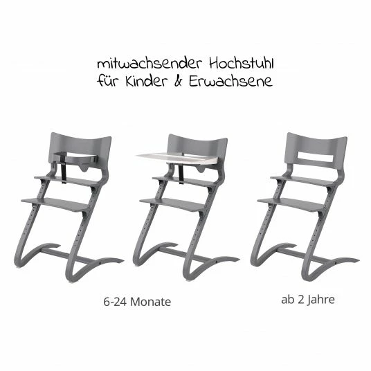 Best reviews of 🌟 Leander Hochstuhl-Set 6-tlg. Classic inkl. Bügel, Tablett, Ledergurt, Sicherheitsgurt & Sitzkissen - Grau - Collection 2022 👏 2 Best reviews of 🌟 Leander Hochstuhl-Set 6-tlg. Classic inkl. Bügel, Tablett, Ledergurt, Sicherheitsgurt & Sitzkissen - Grau - Collection 2022 👏 - Image 2