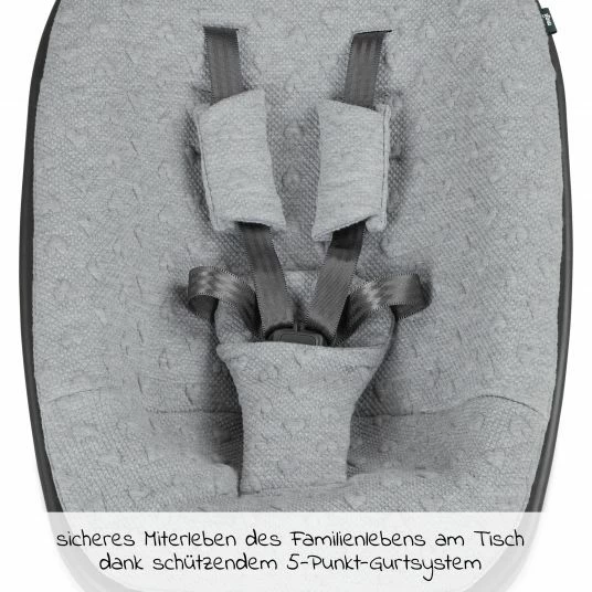 Brand new 🧨 Moji Neugeborenenaufsatz inkl. Bezug, Matratze, Gurtsystem für Yippy Hochstuhl - Heart 💯 3 Brand new 🧨 Moji Neugeborenenaufsatz inkl. Bezug, Matratze, Gurtsystem für Yippy Hochstuhl - Heart 💯 - Image 3