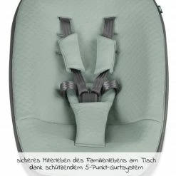 Best Pirce 💯 Moji Neugeborenenaufsatz inkl. Bezug, Matratze, Gurtsystem für Yippy Hochstuhl - Mint 🔥 8 Best Pirce 💯 Moji Neugeborenenaufsatz inkl. Bezug, Matratze, Gurtsystem für Yippy Hochstuhl - Mint 🔥 -Live & Sleep Sales moji neugeborenenaufsatz inkl bezug matratze gurtsystem fur yippy hochstuhl mint 12003332213 d2