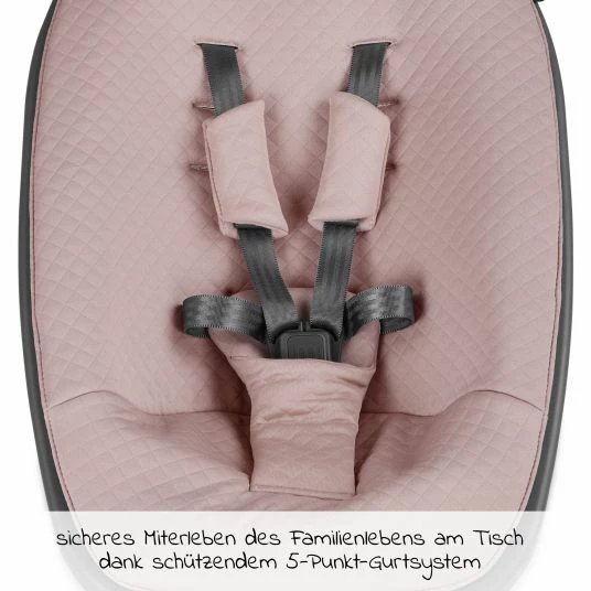 Best reviews of 🧨 Moji Neugeborenenaufsatz inkl. Bezug, Matratze, Gurtsystem für Yippy Hochstuhl - Rose Gold 👏 3 Best reviews of 🧨 Moji Neugeborenenaufsatz inkl. Bezug, Matratze, Gurtsystem für Yippy Hochstuhl - Rose Gold 👏 - Image 3