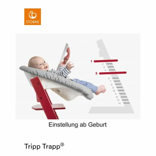 Best Sale ✨ Stokke Mitwachsender Treppenhochstuhl Tripp Trapp® Buchenholz lackiert - Storm Grey / Grau 🛒 3 Best Sale ✨ Stokke Mitwachsender Treppenhochstuhl Tripp Trapp® Buchenholz lackiert - Storm Grey / Grau 🛒 - Image 3