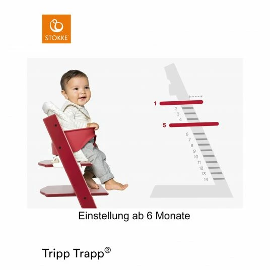 Best Sale ✨ Stokke Mitwachsender Treppenhochstuhl Tripp Trapp® Buchenholz lackiert - Storm Grey / Grau 🛒 4 Best Sale ✨ Stokke Mitwachsender Treppenhochstuhl Tripp Trapp® Buchenholz lackiert - Storm Grey / Grau 🛒 - Image 4