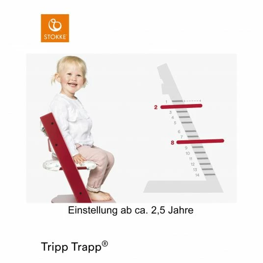Best Sale ✨ Stokke Mitwachsender Treppenhochstuhl Tripp Trapp® Buchenholz lackiert - Storm Grey / Grau 🛒 5 Best Sale ✨ Stokke Mitwachsender Treppenhochstuhl Tripp Trapp® Buchenholz lackiert - Storm Grey / Grau 🛒 - Image 5