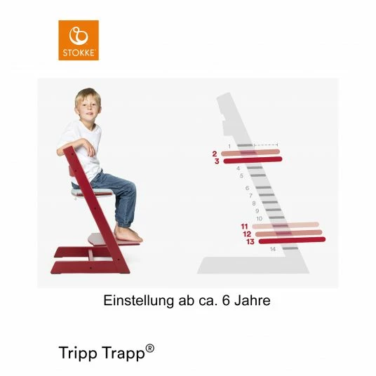 Best Sale ✨ Stokke Mitwachsender Treppenhochstuhl Tripp Trapp® Buchenholz lackiert - Storm Grey / Grau 🛒 6 Best Sale ✨ Stokke Mitwachsender Treppenhochstuhl Tripp Trapp® Buchenholz lackiert - Storm Grey / Grau 🛒 - Image 6