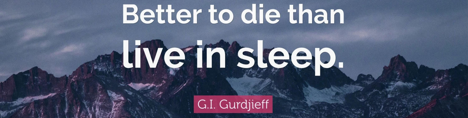 Live & Sleep Sales 2 Live & Sleep Sales -Live & Sleep Sales 未标题 1 1